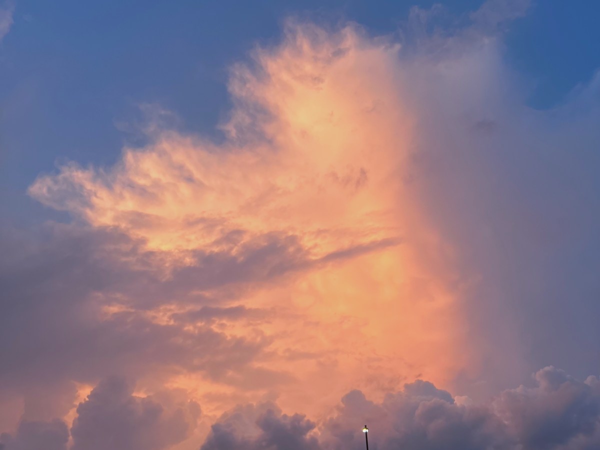 A Rollercoaster Ride of Updates and&nbsp;Resilience